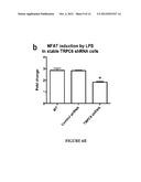 PODOCYTE SPECIFIC ASSAYS AND USES THEREOF diagram and image