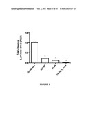 PODOCYTE SPECIFIC ASSAYS AND USES THEREOF diagram and image