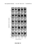 BIOPOLYMER HYBRID GEL-DEPOT DELIVERY SYSTEM diagram and image