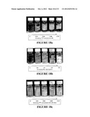 BIOPOLYMER HYBRID GEL-DEPOT DELIVERY SYSTEM diagram and image