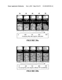 BIOPOLYMER HYBRID GEL-DEPOT DELIVERY SYSTEM diagram and image