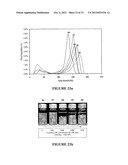 BIOPOLYMER HYBRID GEL-DEPOT DELIVERY SYSTEM diagram and image