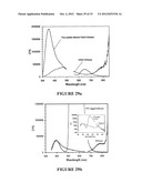 BIOPOLYMER HYBRID GEL-DEPOT DELIVERY SYSTEM diagram and image