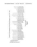 ANTIBODIES AGAINST T CELL IMMUNOGLOBULIN DOMAIN AND MUCIN DOMAIN 1 (TIM-1)     ANTIGEN AND USES THEREOF diagram and image