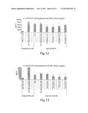 ANTIBODIES AGAINST T CELL IMMUNOGLOBULIN DOMAIN AND MUCIN DOMAIN 1 (TIM-1)     ANTIGEN AND USES THEREOF diagram and image