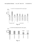 ANTIBODIES AGAINST T CELL IMMUNOGLOBULIN DOMAIN AND MUCIN DOMAIN 1 (TIM-1)     ANTIGEN AND USES THEREOF diagram and image