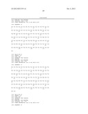 ANTIBODIES AGAINST T CELL IMMUNOGLOBULIN DOMAIN AND MUCIN DOMAIN 1 (TIM-1)     ANTIGEN AND USES THEREOF diagram and image