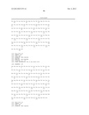 ANTIBODIES AGAINST T CELL IMMUNOGLOBULIN DOMAIN AND MUCIN DOMAIN 1 (TIM-1)     ANTIGEN AND USES THEREOF diagram and image