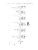 ANTIBODIES AGAINST T CELL IMMUNOGLOBULIN DOMAIN AND MUCIN DOMAIN 1 (TIM-1)     ANTIGEN AND USES THEREOF diagram and image