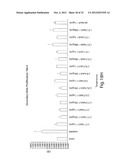 ANTIBODIES AGAINST T CELL IMMUNOGLOBULIN DOMAIN AND MUCIN DOMAIN 1 (TIM-1)     ANTIGEN AND USES THEREOF diagram and image