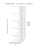 ANTIBODIES AGAINST T CELL IMMUNOGLOBULIN DOMAIN AND MUCIN DOMAIN 1 (TIM-1)     ANTIGEN AND USES THEREOF diagram and image