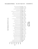 ANTIBODIES AGAINST T CELL IMMUNOGLOBULIN DOMAIN AND MUCIN DOMAIN 1 (TIM-1)     ANTIGEN AND USES THEREOF diagram and image