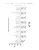 ANTIBODIES AGAINST T CELL IMMUNOGLOBULIN DOMAIN AND MUCIN DOMAIN 1 (TIM-1)     ANTIGEN AND USES THEREOF diagram and image