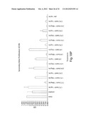 ANTIBODIES AGAINST T CELL IMMUNOGLOBULIN DOMAIN AND MUCIN DOMAIN 1 (TIM-1)     ANTIGEN AND USES THEREOF diagram and image