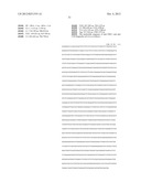 ANTIBODIES AGAINST T CELL IMMUNOGLOBULIN DOMAIN AND MUCIN DOMAIN 1 (TIM-1)     ANTIGEN AND USES THEREOF diagram and image