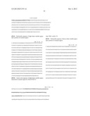 ANTIBODIES AGAINST T CELL IMMUNOGLOBULIN DOMAIN AND MUCIN DOMAIN 1 (TIM-1)     ANTIGEN AND USES THEREOF diagram and image