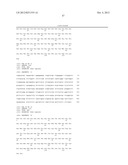 ANTIBODIES AGAINST T CELL IMMUNOGLOBULIN DOMAIN AND MUCIN DOMAIN 1 (TIM-1)     ANTIGEN AND USES THEREOF diagram and image