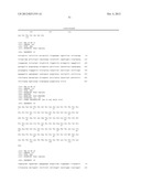 ANTIBODIES AGAINST T CELL IMMUNOGLOBULIN DOMAIN AND MUCIN DOMAIN 1 (TIM-1)     ANTIGEN AND USES THEREOF diagram and image