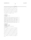 ANTIBODIES AGAINST T CELL IMMUNOGLOBULIN DOMAIN AND MUCIN DOMAIN 1 (TIM-1)     ANTIGEN AND USES THEREOF diagram and image