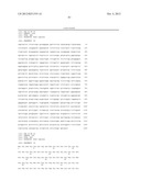 ANTIBODIES AGAINST T CELL IMMUNOGLOBULIN DOMAIN AND MUCIN DOMAIN 1 (TIM-1)     ANTIGEN AND USES THEREOF diagram and image