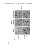 COMPOSITIONS FOR GENERATING AN ANTIGEN SPECIFIC IMMUNE RESPONSE diagram and image