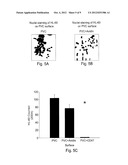 LIGAND-SPECIFIC INHIBITION OF ATTACHMENT OF IMMUNE CELLS TO IMPLANTABLE     BIOMATERIALS diagram and image