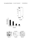 LIGAND-SPECIFIC INHIBITION OF ATTACHMENT OF IMMUNE CELLS TO IMPLANTABLE     BIOMATERIALS diagram and image