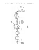 ANTIMICROBIAL CONSTRUCTS diagram and image