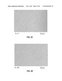 ANTIMICROBIAL COMPOSITIONS, METHODS OF PREPARATION THEREOF, AND USES     THEREOF diagram and image