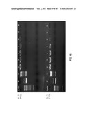 ANTIMICROBIAL COMPOSITIONS, METHODS OF PREPARATION THEREOF, AND USES     THEREOF diagram and image