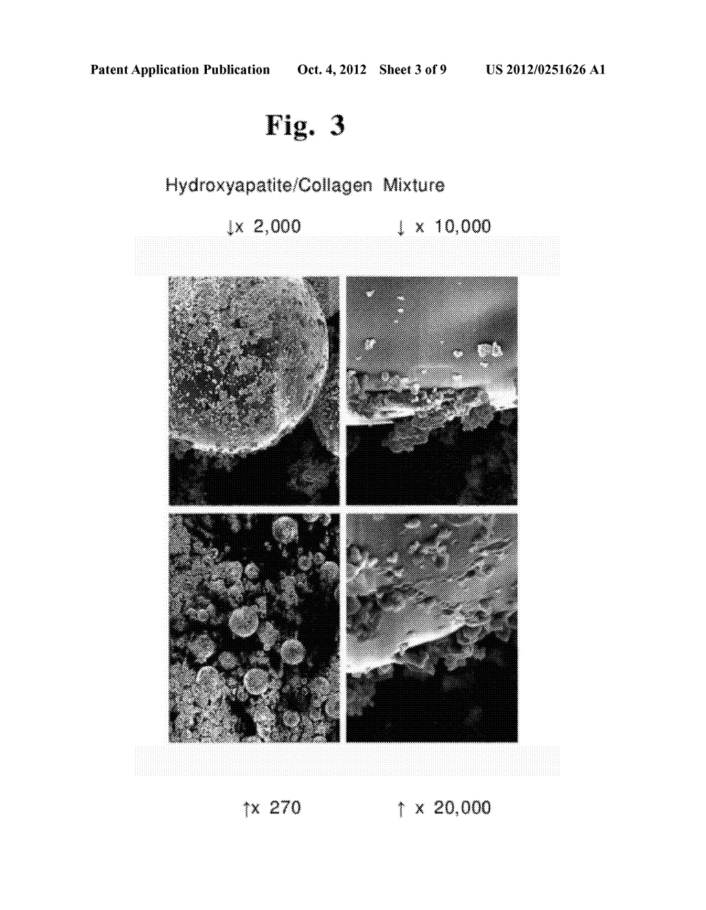 PROCESS FOR MANUFACTURING BIOCOMPATIBLE MATERIAL - diagram, schematic, and image 04