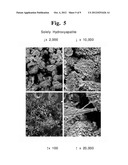 PROCESS FOR MANUFACTURING BIOCOMPATIBLE MATERIAL diagram and image