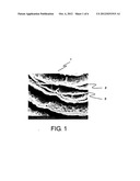 CATALYST LAYER, MEMBRANE ELECTRODE ASSEMBLY, AND ELECTROCHEMICAL CELL diagram and image