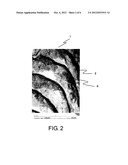 CATALYST LAYER, MEMBRANE ELECTRODE ASSEMBLY, AND ELECTROCHEMICAL CELL diagram and image