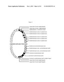 METHOD AND KIT FOR DENTAL IMPLANT DRILLING GUIDES diagram and image