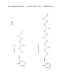 OPTIMIZED REAL TIME NUCLEIC ACID DETECTION PROCESSES diagram and image