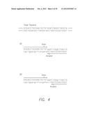 OPTIMIZED REAL TIME NUCLEIC ACID DETECTION PROCESSES diagram and image