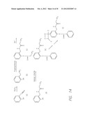 OPTIMIZED REAL TIME NUCLEIC ACID DETECTION PROCESSES diagram and image