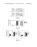 Materials and Methods Useful for Affecting Tumor Cell Growth, Migration     and Invasion diagram and image