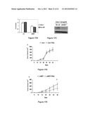 Materials and Methods Useful for Affecting Tumor Cell Growth, Migration     and Invasion diagram and image