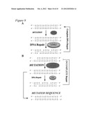 CANCER BIOMARKER, DIAGNOSTIC METHODS, AND ASSAY REAGENTS diagram and image