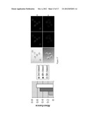 COMPOSITIONS AND METHODS FOR REGULATING SAS1R diagram and image