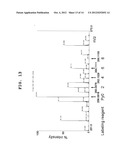 METHOD FOR MULTIPLE QUANTIFICATION OF AMINO GROUP-CONTAINING NON-PEPTIDIC     COMPOUND WITH HIGH EFFICIENCY AND HIGH SENSITIVITY AND KIT THEREFOR diagram and image