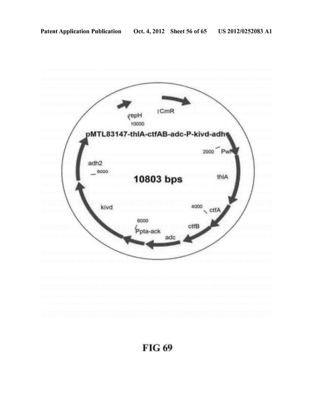 FERMENTATION PROCESS FOR PRODUCING ISOPROPANOL USING A RECOMBINANT     MICROORGANISM - diagram, schematic, and image 57