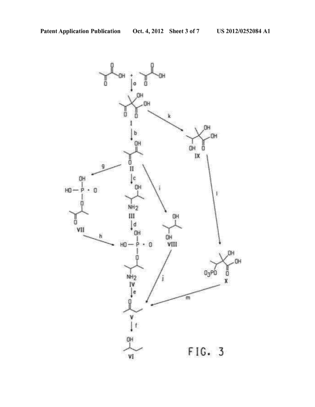 Enhanced Pyruvate to Acetolactate Conversion in Yeast - diagram, schematic, and image 04