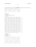 Enhanced Pyruvate to Acetolactate Conversion in Yeast diagram and image