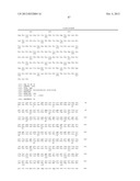 Enhanced Pyruvate to Acetolactate Conversion in Yeast diagram and image