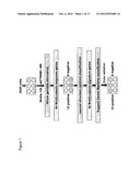 GENE EXPRESSION SIGNATURE FOR WNT/B-CATENIN SIGNALING PATHWAY AND USE     THEREOF diagram and image