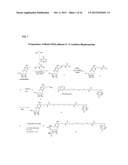 MODIFIED NUCLEOTIDES METHODS AND KITS diagram and image