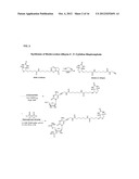 MODIFIED NUCLEOTIDES METHODS AND KITS diagram and image